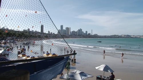 在海滩上玩的人 · 免费素材视频