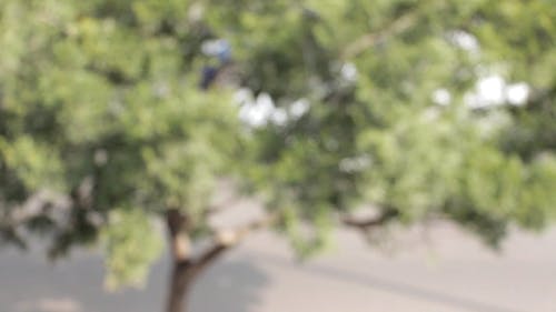 汽车通过的模糊视频 · 免费素材视频