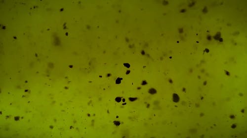 肮脏的绿色液体的视频 · 免费素材视频