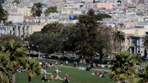 人们在田野上放松 · 免费素材视频