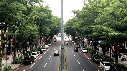 城市车辆视频 · 免费素材视频