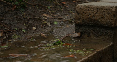 排水的水 · 免费素材视频