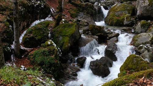 雪落在河上 · 免费素材视频