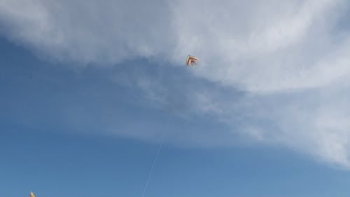 放风筝 · 免费素材视频