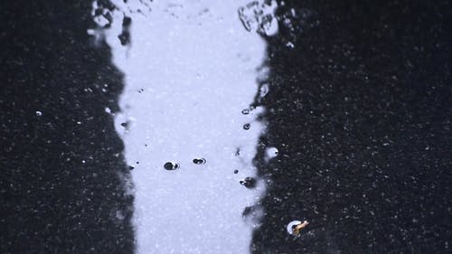 水坑 · 免费素材视频