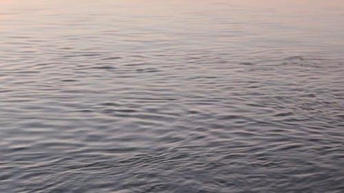 水波纹视频 · 免费素材视频
