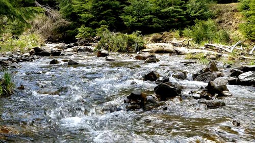 溪水流水声 · 免费素材视频