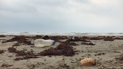 岸上的空瓶子 · 免费素材视频