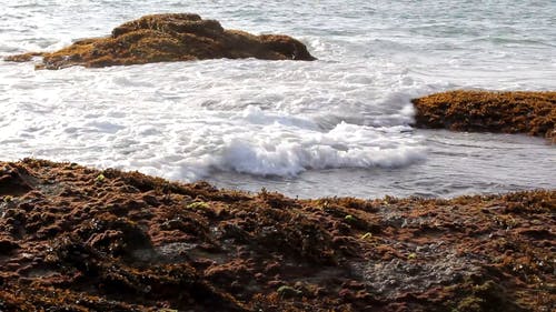 海浪拍打在海边的岩石上 · 免费素材视频