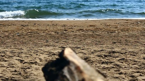 在海滩上度过的一天 · 免费素材视频