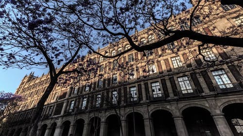 低角度拍摄的建筑物 · 免费素材视频