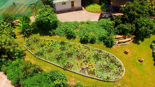 无人机拍摄的绿色花园 · 免费素材视频