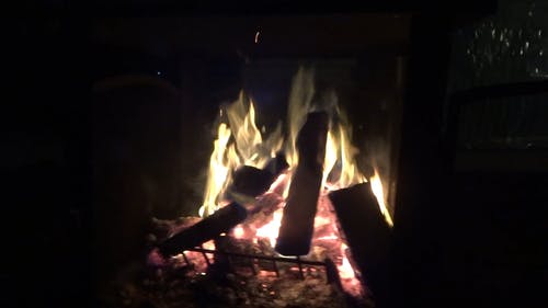 有关升火的木柴, 晚上, 樹林的免费素材视频