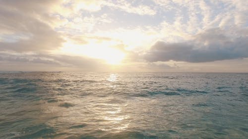 海浪视频 · 免费素材视频