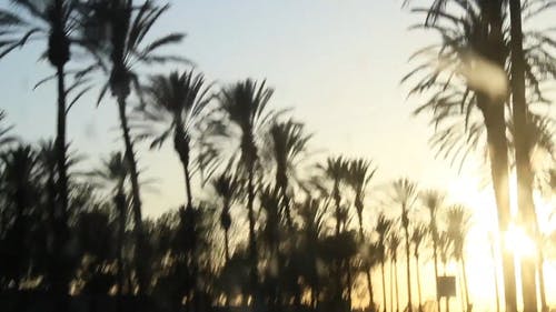 开车时欣赏日落 · 免费素材视频