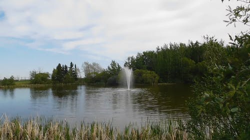 在湖中间的喷泉 · 免费素材视频