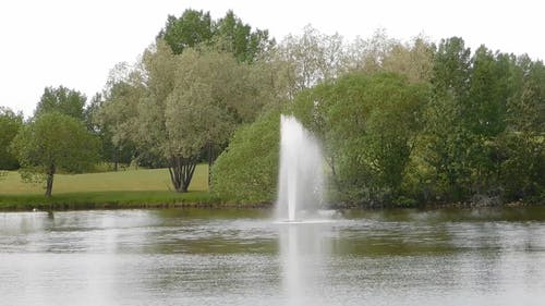 湖上的喷泉 · 免费素材视频