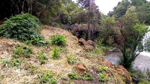 瀑布和流淌的河水 · 免费素材视频