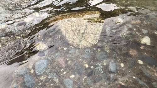 石头和岩石在清澈的水 · 免费素材视频