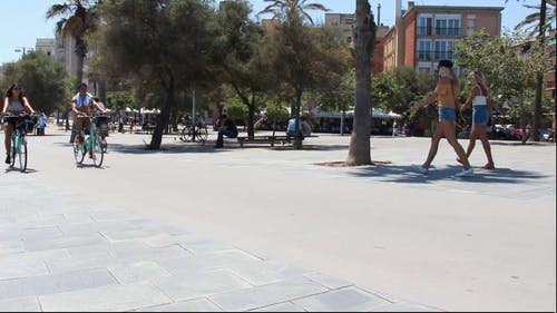 人们在公园骑自行车 · 免费素材视频