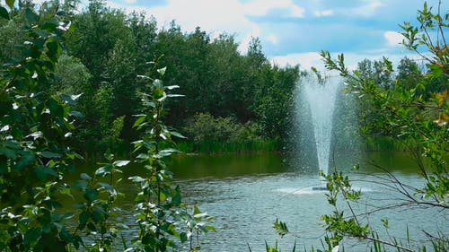 饮水机 · 免费素材视频
