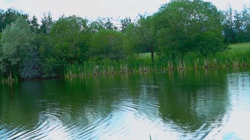 白天湖的视频 · 免费素材视频