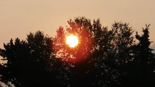 日落的迷人景色 · 免费素材视频