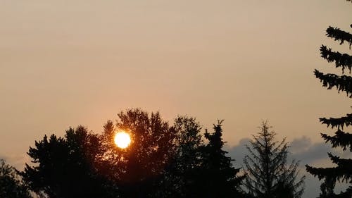 日出录像之美 · 免费素材视频