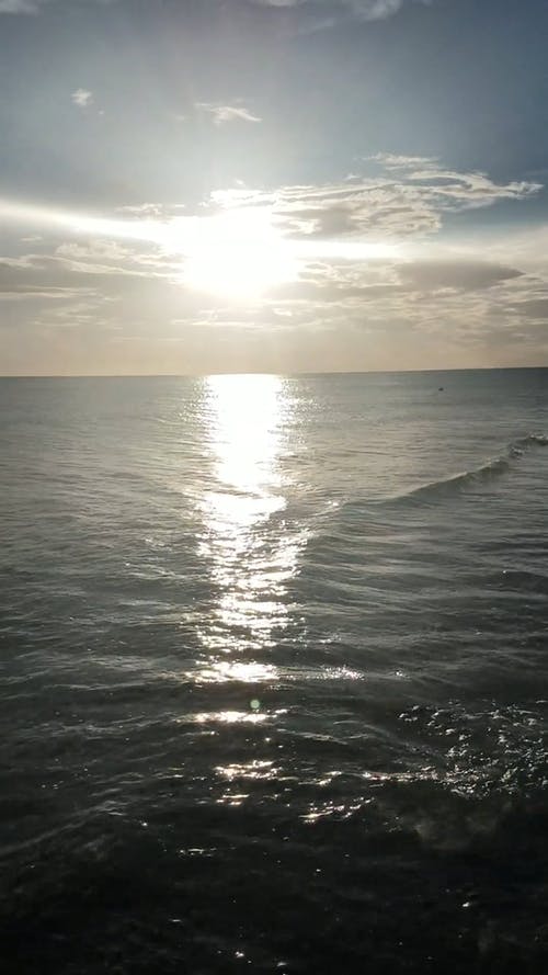 水体 · 免费素材视频