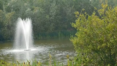 有喷泉的湖 · 免费素材视频