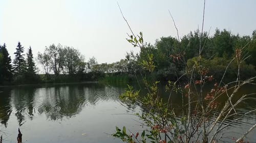 有喷泉的湖 · 免费素材视频