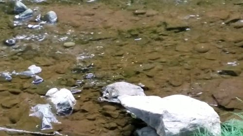 一条清澈的水流 · 免费素材视频