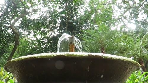 饮水机 · 免费素材视频