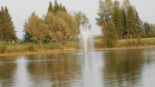 在公园的喷泉湖 · 免费素材视频