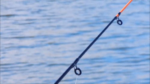 在河边钓鱼 · 免费素材视频