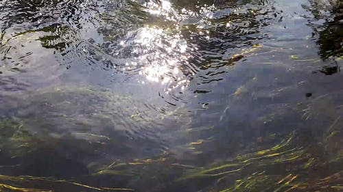 水体与光反射 · 免费素材视频