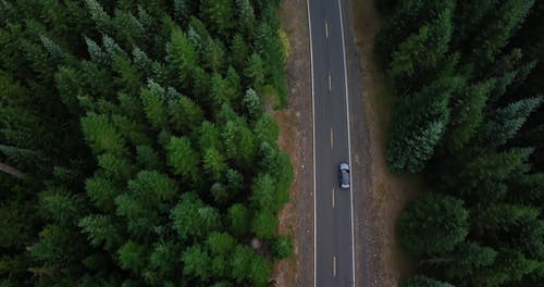 汽车旅行视频 · 免费素材视频