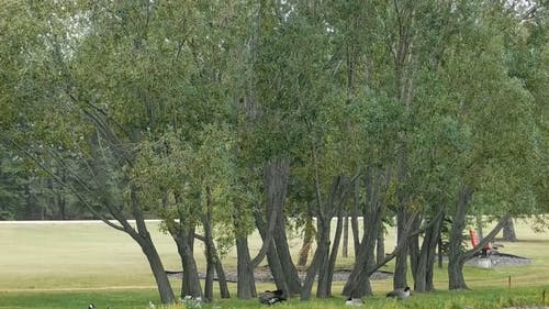 美丽的风景 · 免费素材视频