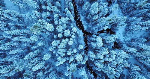 冬季景观的鸟瞰图 · 免费素材视频