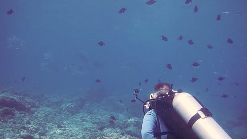 海底美景 · 免费素材视频