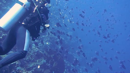 深蓝海洋 · 免费素材视频