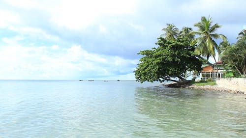 美丽的海滩胜地 · 免费素材视频