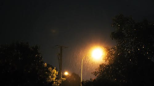雨夜 · 免费素材视频