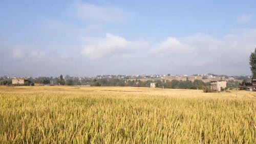 有山景的农业用地 · 免费素材视频