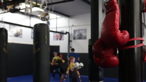 拳击男孩训练 · 免费素材视频