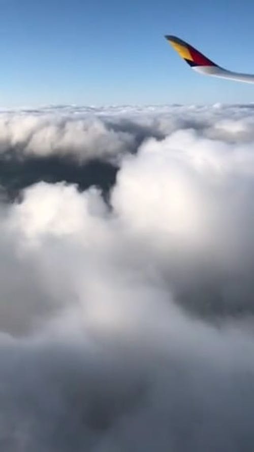 飞机在云层之上 · 免费素材视频