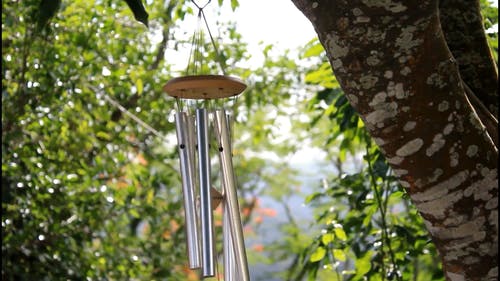 风铃挂在一棵树上 · 免费素材视频