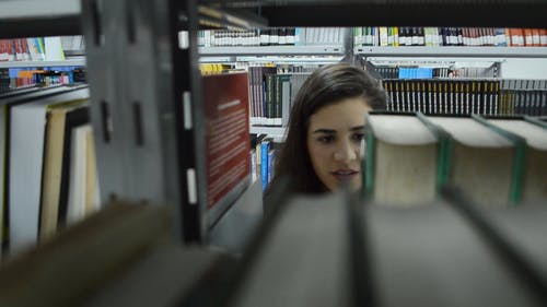 在图书馆里研究的女人 · 免费素材视频