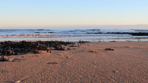 海与海藻在海岸上的视图 · 免费素材视频