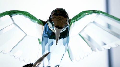 水晶玻璃鸟 · 免费素材视频